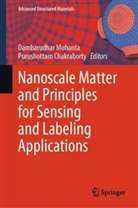 Chakraborty, Purushottam Chakraborty, Dambarudhar Mohanta - Nanoscale Matter and Principles for Sensing and Labeling Applications