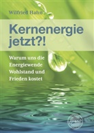Wilfried Hahn - Kernenergie jetzt?!