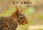Jane Meles - A l'affût des écureuils