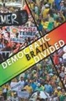 Peter Kingstone, Peter R. Kingstone, Timothy J Power, Timothy J. Power - DEMOCRATIC BRAZIL DIVIDED