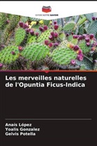 Yoalis Gonzalez, Anaís López, Gelvis Potella - Les merveilles naturelles de l'Opuntia Ficus-Indica