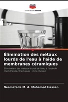 Neamatalla M. A. Mohamed Hassan - Élimination des métaux lourds de l'eau à l'aide de membranes céramiques