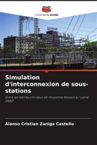 Alonso Cristián Zúñiga Castelló - Simulation d'interconnexion de sous-stations