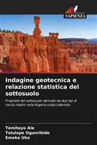 Temitayo Ale, Tolulope Ogunribido, Emeka Uko - Indagine geotecnica e relazione statistica del sottosuolo