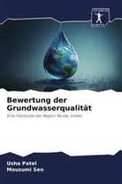 Usha Patel, Mousumi Sen - Bewertung der Grundwasserqualität