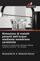 Neamatalla M. A. Mohamed Hassan - Rimozione di metalli pesanti dall'acqua mediante membrane ceramiche