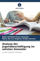 Galo Christian Kure Camacho, María Uvidia Herrera, María de Los Ángeles Uvidia Herrera - Analyse der Jugendbeschäftigung im zehnten Semester