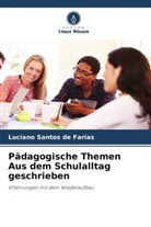 Luciano Santos De Farias - Pädagogische Themen Aus dem Schulalltag geschrieben
