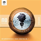 Riccardo Minasi, Mozarteumorchester, Richard Strauss - Metamorphosen & Wind Sonatina No.1, Audio-CD (Hörbuch)