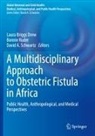 David A Schwartz, Laura Briggs Drew, Bonnie Ruder, David A. Schwartz - A Multidisciplinary Approach to Obstetric Fistula in Africa