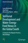 Alice Buoli, Alessandro Frigerio, Laura Montedoro - Territorial Development and Water-Energy-Food Nexus in the Global South