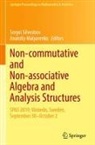 Malyarenko, Anatoliy Malyarenko, Sergei Silvestrov - Non-commutative and Non-associative Algebra and Analysis Structures