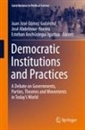 José Abdelnour-Nocera, Esteba Anchústegui Igartua, Esteban Anchústegui Igartua, Juan José Gómez Gutiérrez - Democratic Institutions and Practices