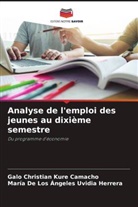 Galo Christian Kure Camacho, María de Los Ángeles Uvidia Herrera - Analyse de l'emploi des jeunes au dixième semestre