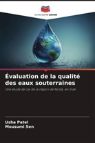 Usha Patel, Mousumi Sen - Évaluation de la qualité des eaux souterraines