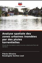 Flávio Oliveira, Rosângela Santos Leal - Analyse spatiale des zones urbaines inondées par des pluies torrentielles