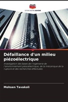 Mohsen Tavakoli - Défaillance d'un milieu piézoélectrique