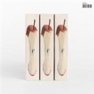 Fazer - Plex, 1 Audio-CD (Livre audio)