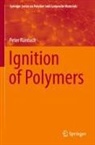 Peter Rantuch - Ignition of Polymers