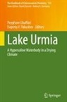 Peygham Ghaffari, V Yakushev, Evgeniy V. Yakushev - Lake Urmia
