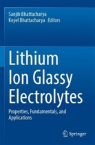 Bhattacharya, Koyel Bhattacharya, Sanjib Bhattacharya - Lithium Ion Glassy Electrolytes