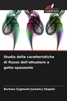 Bartosz Zygmunt Jurewicz Slupski - Studio delle caratteristiche di flusso dell'attuatore a getto spazzante