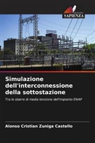 Alonso Cristián Zúñiga Castelló - Simulazione dell'interconnessione della sottostazione