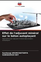 Sambangi Arunchaitanya, Subhashish Dey - Effet de l'adjuvant minéral sur le béton autoplaçant