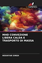 HOSHIYAR SINGH - MHD CONVEZIONE LIBERA CALDA E TRASPORTO DI MASSA