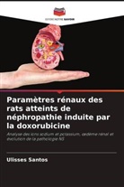 Ulisses Santos - Paramètres rénaux des rats atteints de néphropathie induite par la doxorubicine