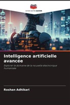 Roshan Adhikari - Intelligence artificielle avancée