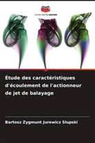 Bartosz Zygmunt Jurewicz Slupski - Étude des caractéristiques d'écoulement de l'actionneur de jet de balayage