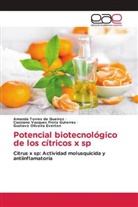 Gustavo Oliveira Everton, Amanda Torres de Queiroz, Cassiano Vasques Frota Guterres - Potencial biotecnológico de los cítricos x sp
