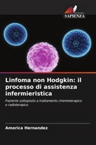 America Hernandez - Linfoma non Hodgkin: il processo di assistenza infermieristica