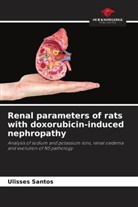 Ulisses Santos - Renal parameters of rats with doxorubicin-induced nephropathy