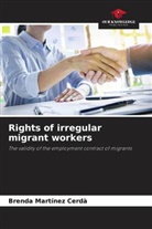Brenda Martínez Cerdà - Rights of irregular migrant workers
