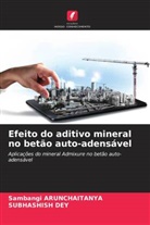 Sambangi Arunchaitanya, Subhashish Dey - Efeito do aditivo mineral no betão auto-adensável