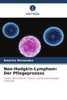 America Hernandez - Non-Hodgkin-Lymphom: Der Pflegeprozess