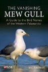 Ray Reedman - The Vanishing Mew Gull