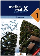 Sven Aring, Emmerich Boxhofer, Gerhard Kübel, Ulrike Lischka, Brigitta Panhuber-Mayr, Wolfgang Thummerer... - mathematiX