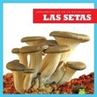 Jenna Lee Gleisner, Jenna Lee Gleisner - Las Setas (Mushrooms)