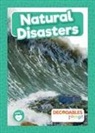 Louise Nelson - Natural Disasters