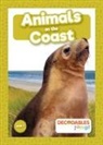 Robin Twiddy - Animals on the Coast