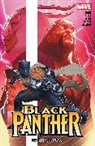 Chris Allen, MATT CHATER, Taurin Clarke, Eve L Ewing, Eve L. Ewing, Matt Horak... - Black Panther By Eve L. Ewing: Reign At Dusk Vol. 2