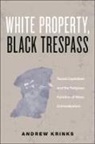 Andrew Krinks - White Property, Black Trespass