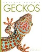 Kate Riggs - Geckos