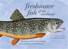 David A Patterson, David A. Patterson, Matt Patterson - Freshwater Fish of the Northeast