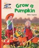 Helen Chapman - Reading Planet - Grow a Pumpkin - Red B: Galaxy