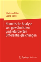 Guang-Da Hu, Taketomo Mitsui - Numerische Analyse von gewöhnlichen und retardierten Differentialgleichungen