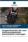 Patrick KALALA MUANISHAYI, Fiston NTUMBA KABUYA - Vergleichsstudie der vom Verbrennungsmotor entwickelten Leistungen